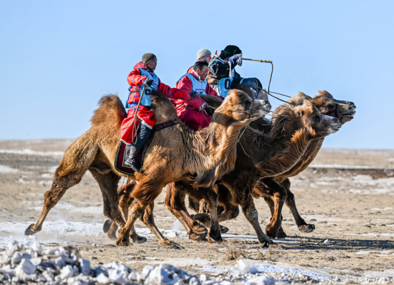 内蒙古今大部分地区晴间多云 明后天雨雪大风来袭
