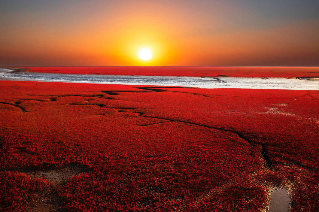 盘锦红海滩，一个令人陶醉的度假胜地