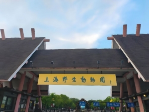 上海野生动物园怎么玩  一篇旅游攻略告诉你