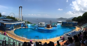 香港海洋公园风景美吗？海洋公园景区介绍