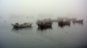 渤海等海域今天持续大雾，浙江重庆等6省发布暴雨蓝色预警
